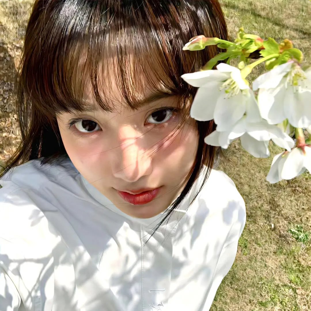 小扒手道奇