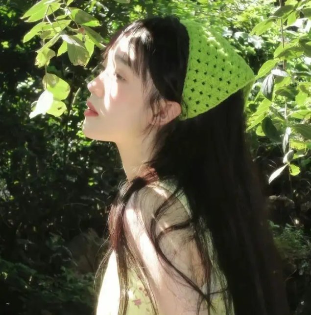 最后的狮子